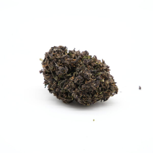 CBGJD Purple Glasshouse